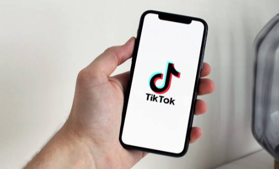 تحميل الفيديوهات من التيك توك بدون حقوق 